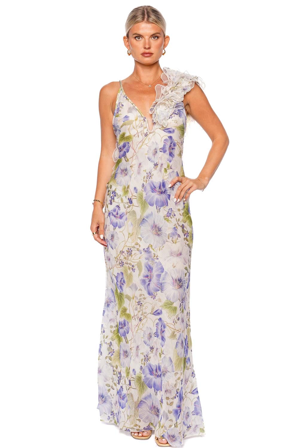 ZIMMERMANN Natura Feather Slip Gown 1182DS241 Blue Floral