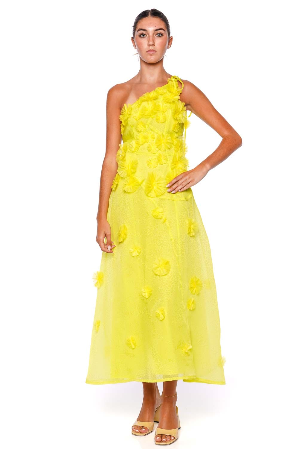 Rachel Gilbert Whitley Lime Silk Organza Embellished Midi Dress
