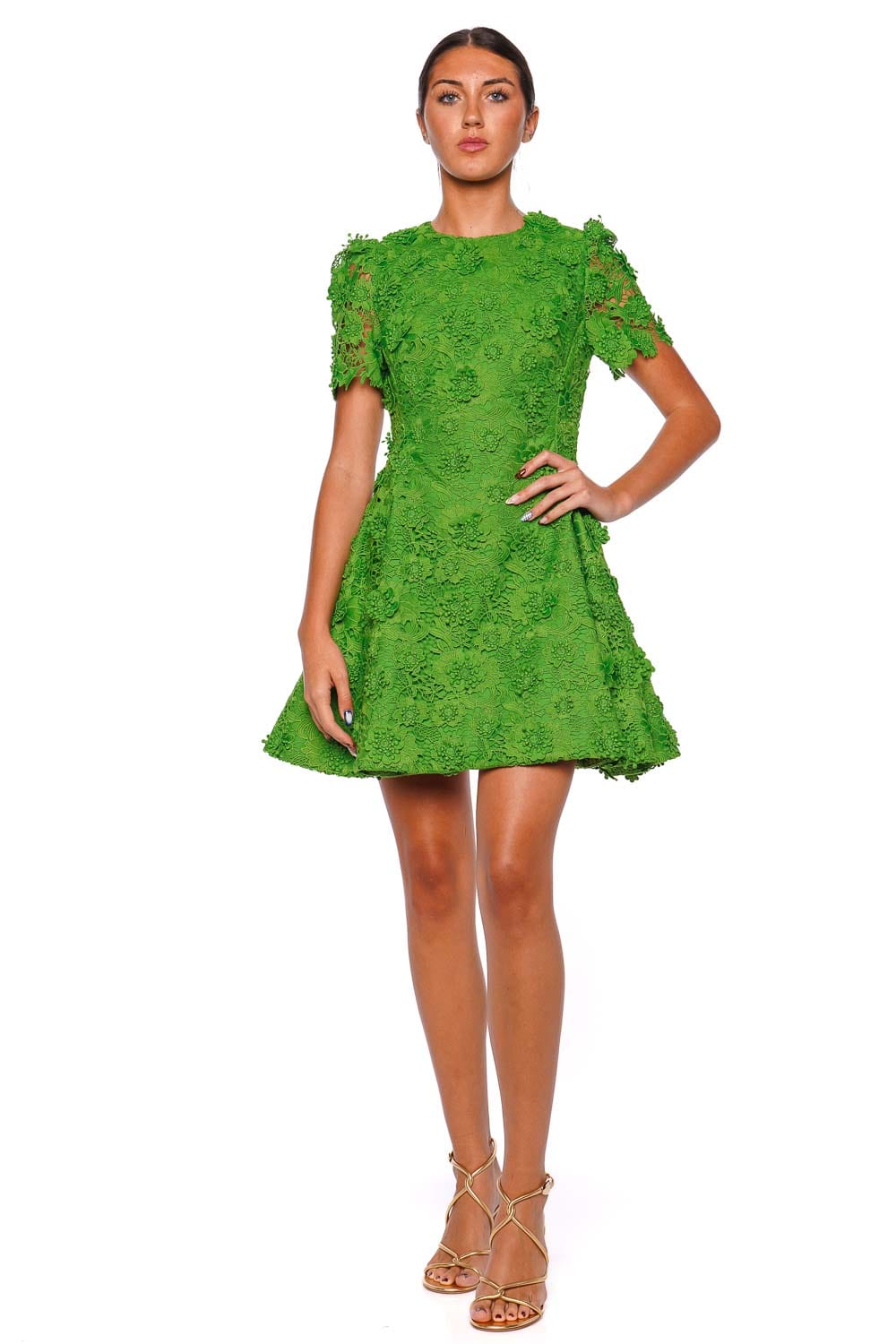 LEO LIN Elyse Fern Lace Short Sleeve Mini Dress
