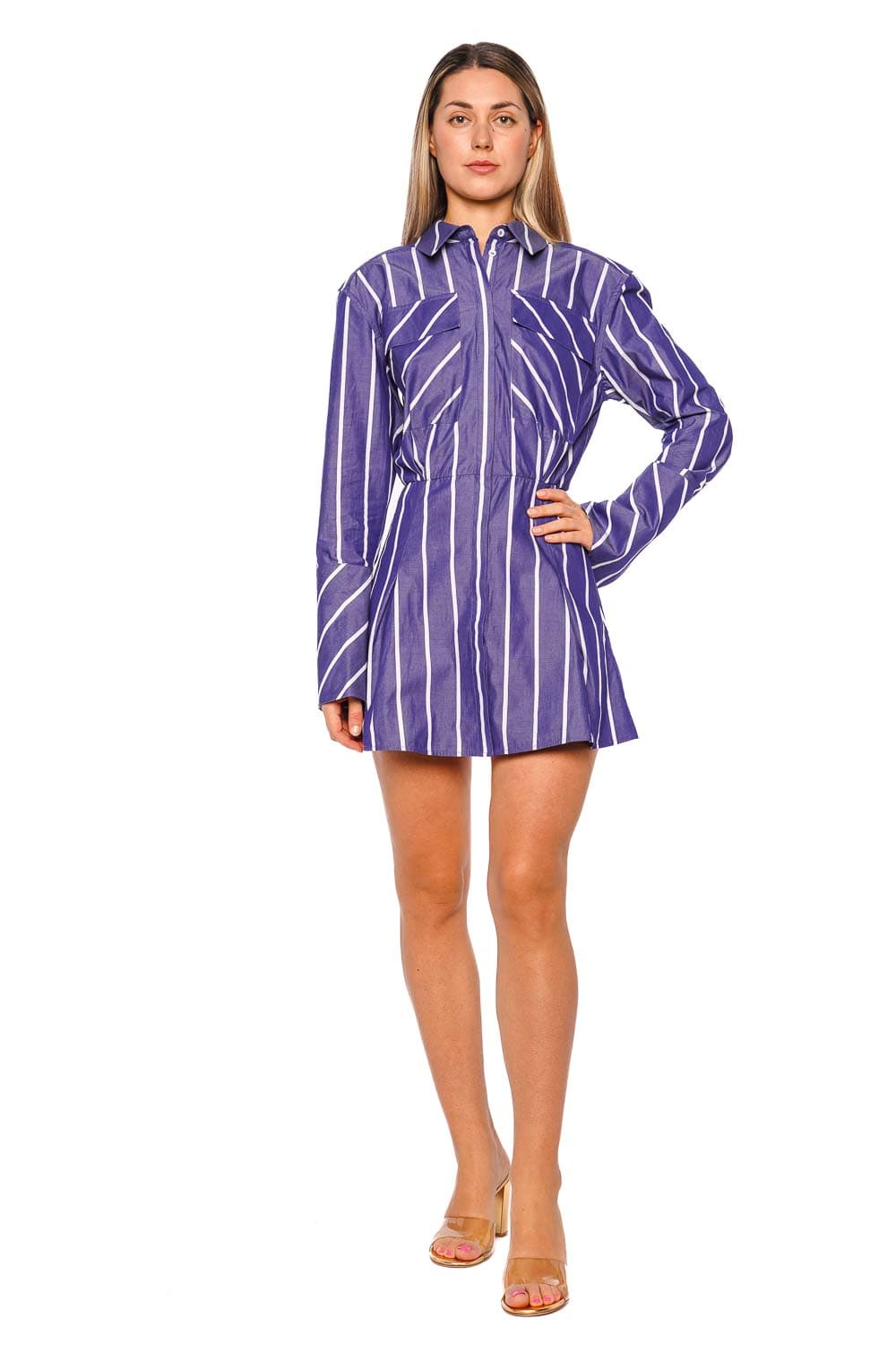 Shona Joy Cambridge Chambray Long Sleeve Striped Mini Dress