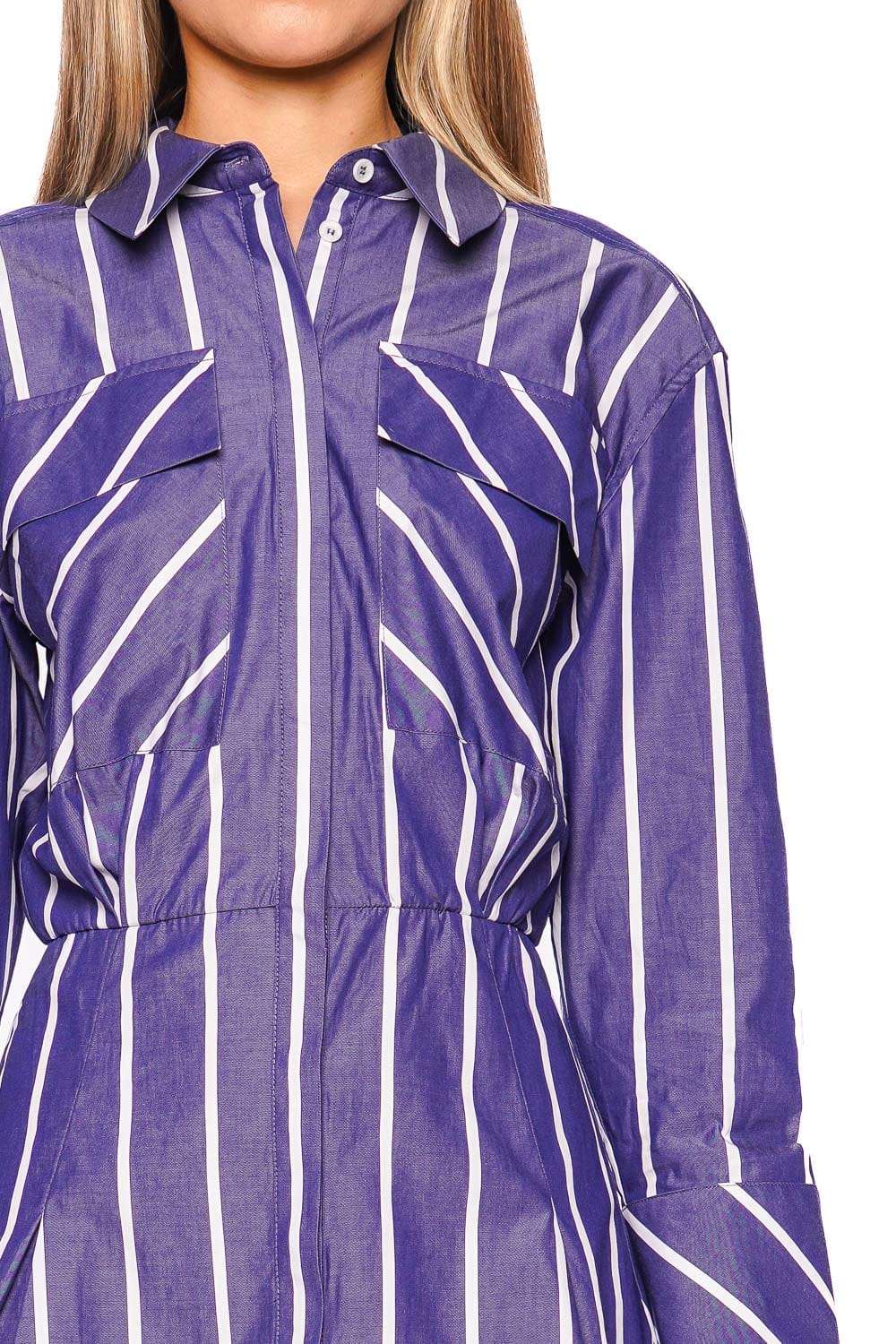 Shona Joy Cambridge Chambray Long Sleeve Striped Mini Dress