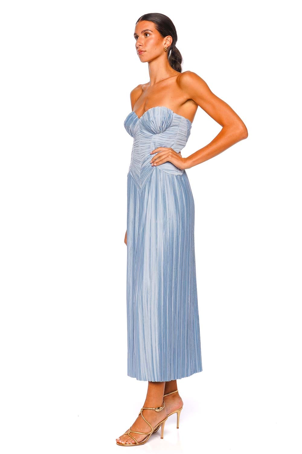 Cult Gaia Ashika Coastal Corset Pleated Gown