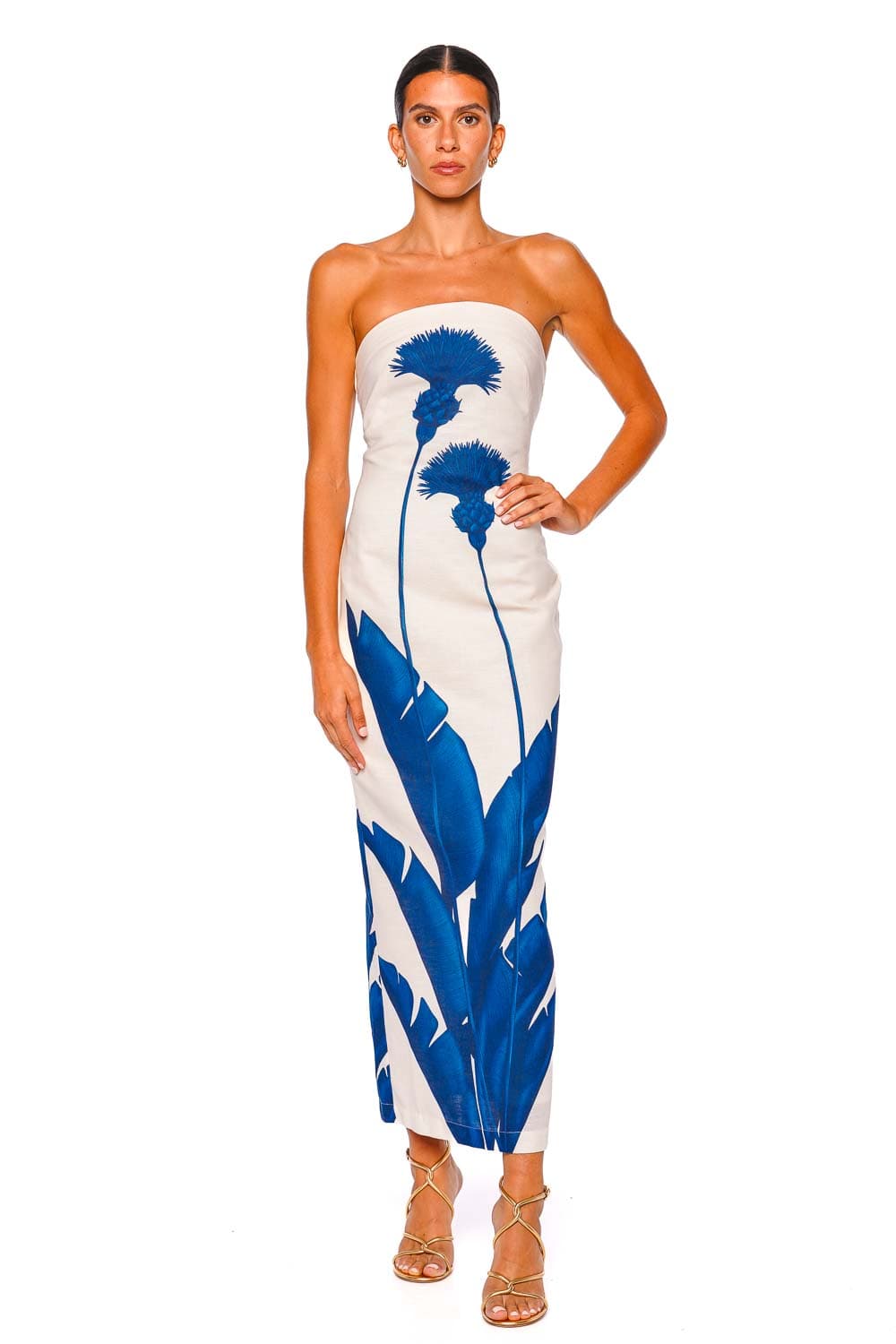Andres Otalora Costera Blue Dandelion Strapless Maxi Dress
