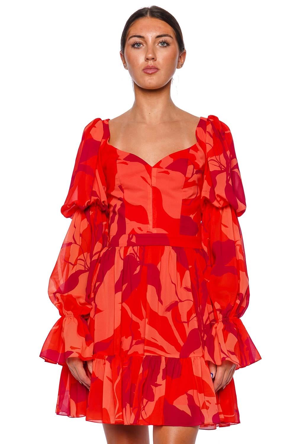 Andres Otalora Granadilla Printed Chiffon Ruffled Mini Dress