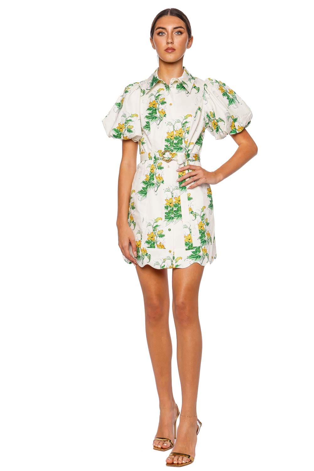 Aje. Demi Floral Puff Sleeve Mini Dress