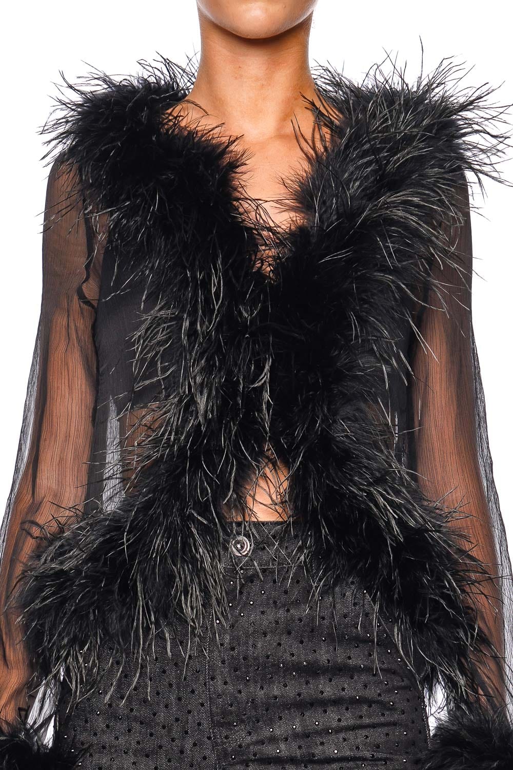 Bubish Gigi Sheer Black Feathered Blouse