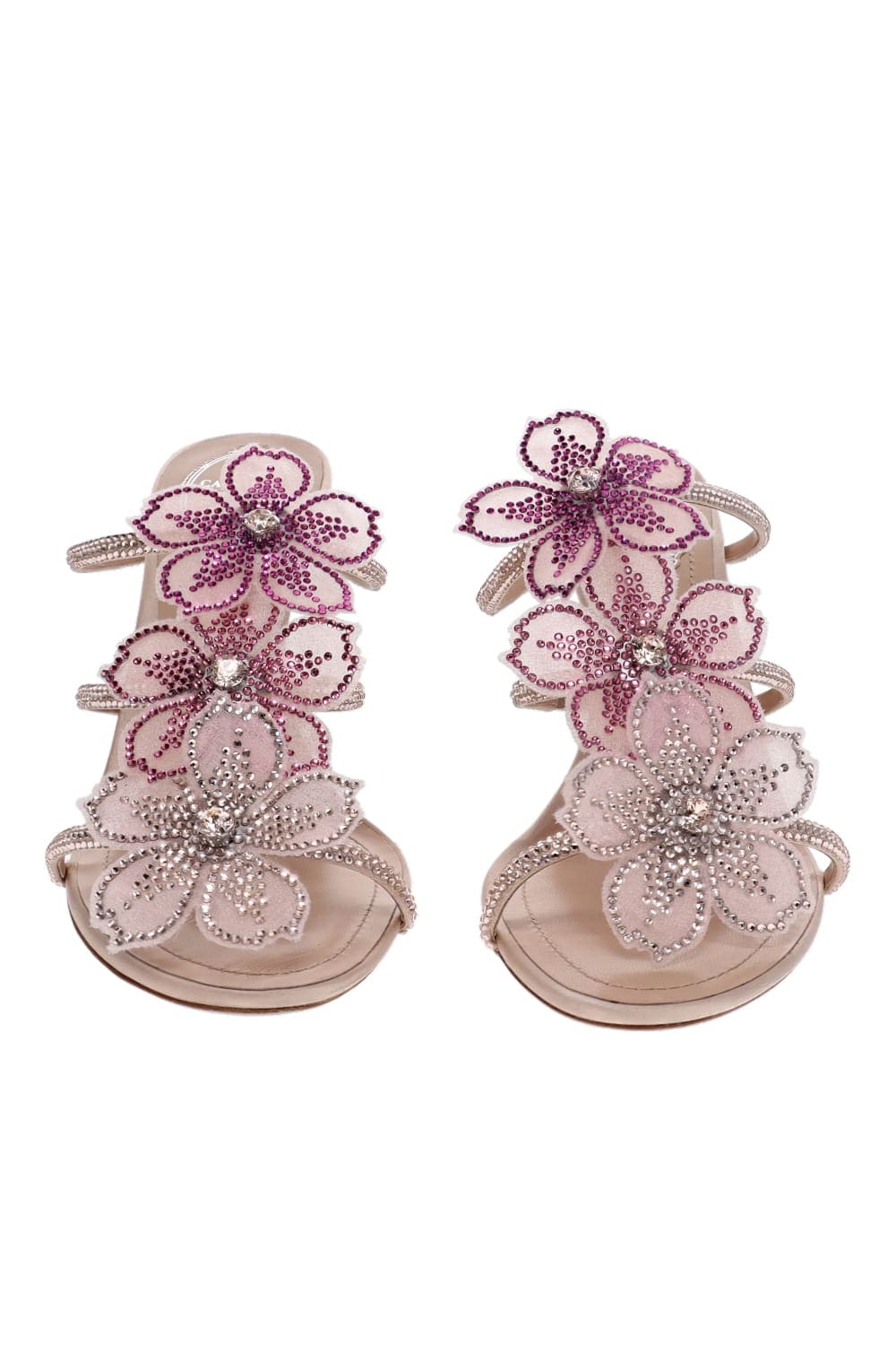RENE CAOVILLA Peach Flower Embellished Leather Mule