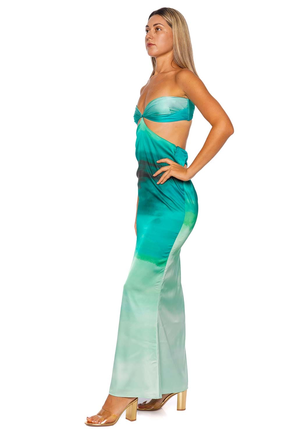 BAOBAB Riri Evergreen Strapless Maxi Dress