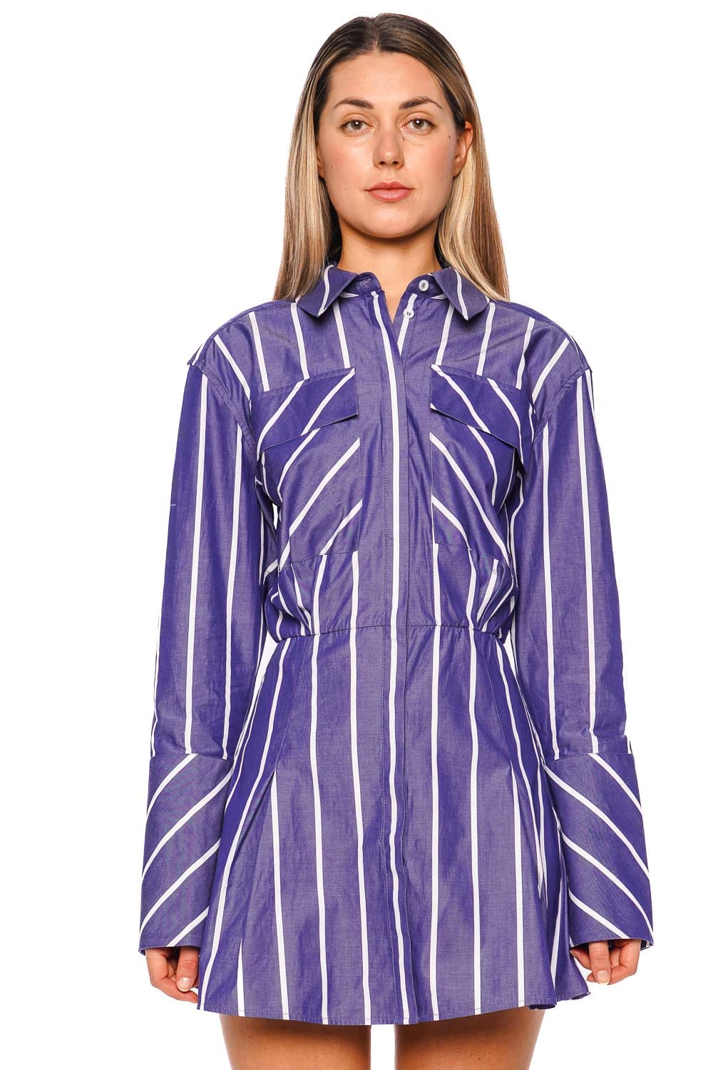 Shona Joy Cambridge Chambray Long Sleeve Striped Mini Dress