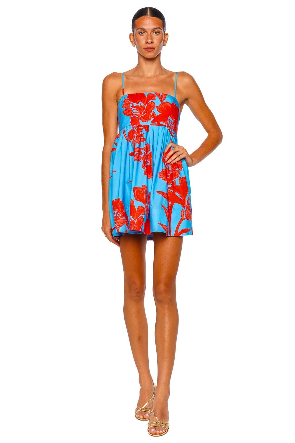 Cara Cara Leo Flora Shadow Sky Strappy Mini Dress