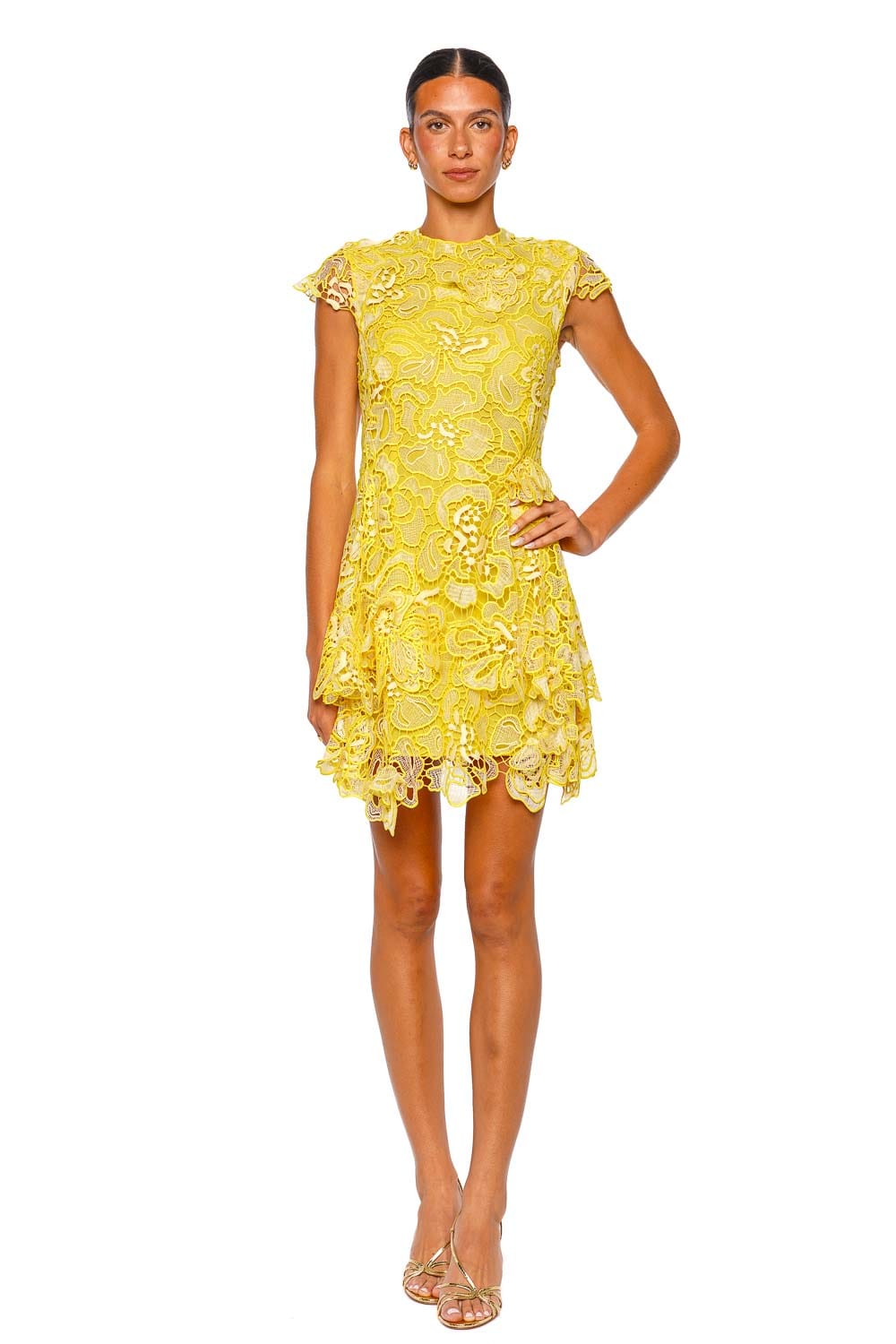 SIMKHAI Novelle Buttercream Floral Lace Mini Dress