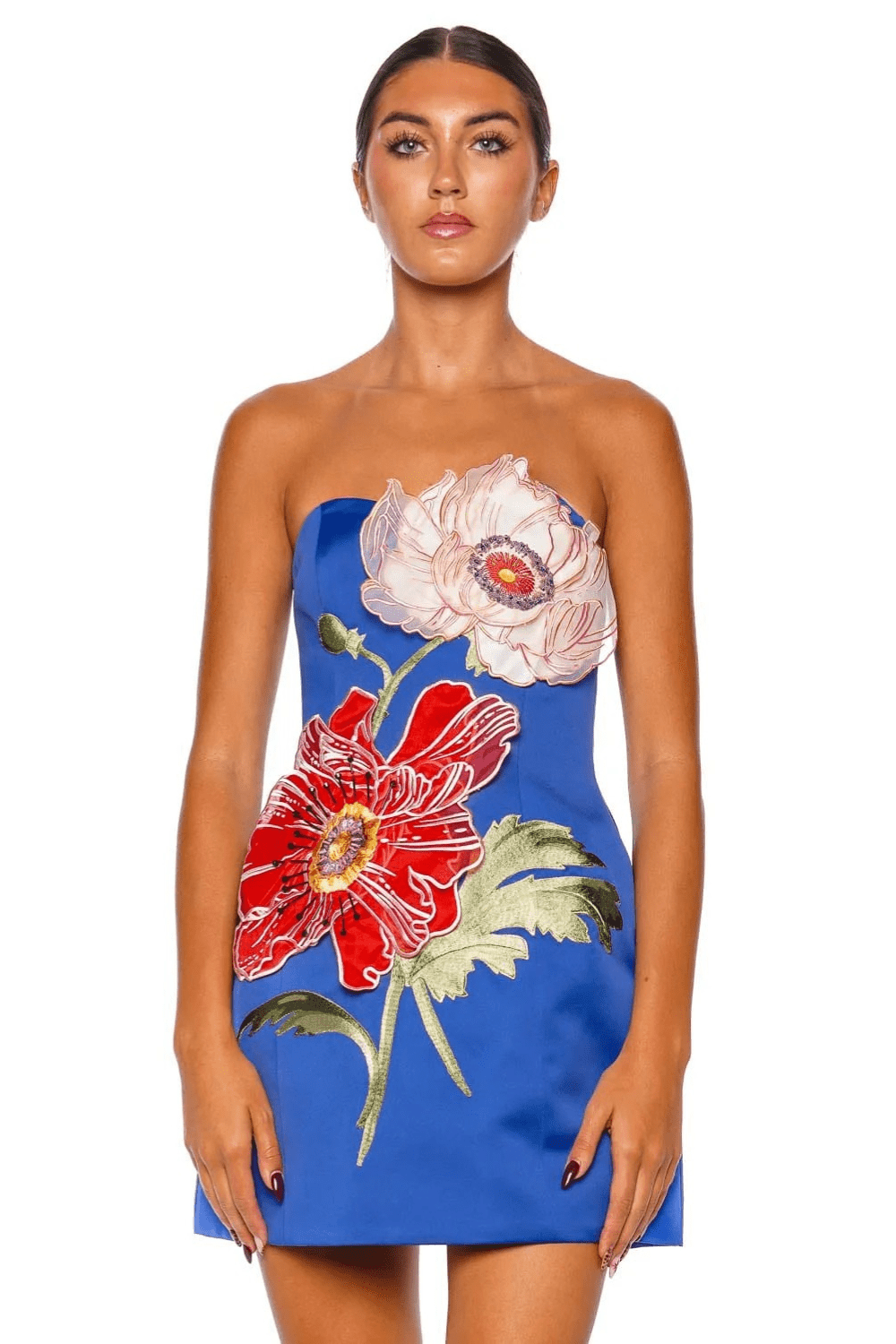 LEO LIN Rosario Floral Embroidered Strapless Mini Dress