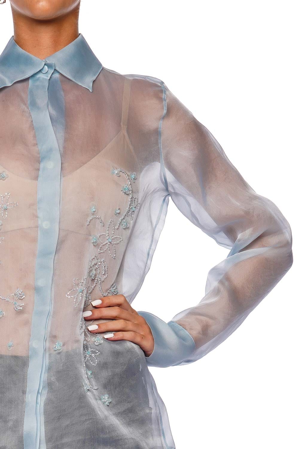 Francesca Miranda Aster Blue Embroidered Silk Organza Blouse