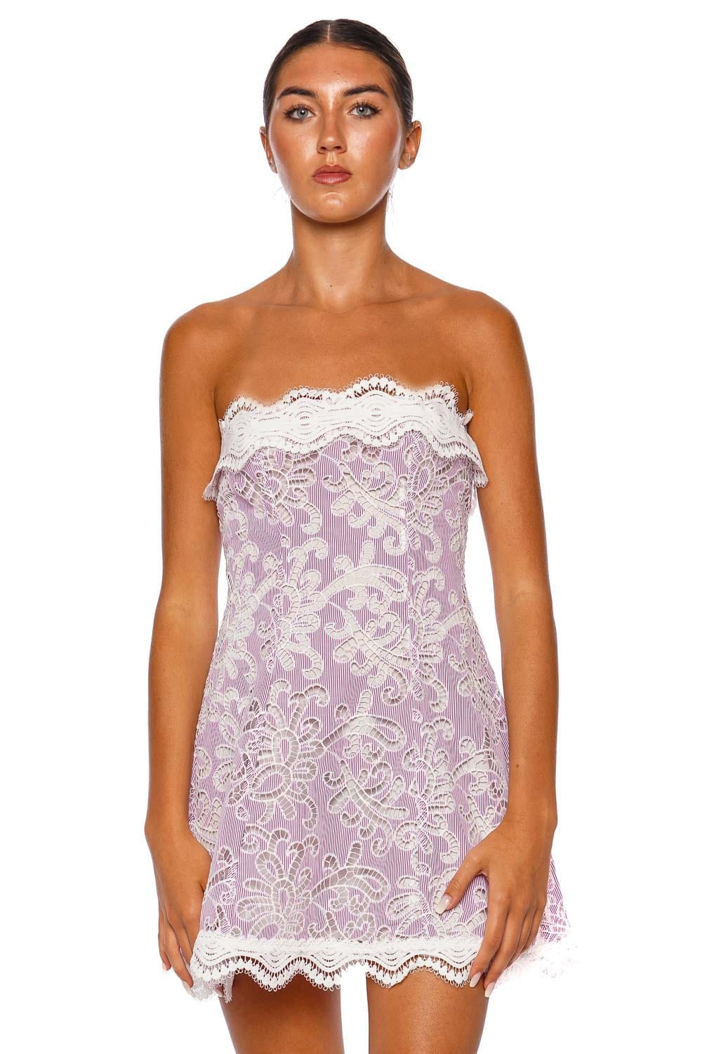 Colline Strapless Embroidered Lace Mini Dress