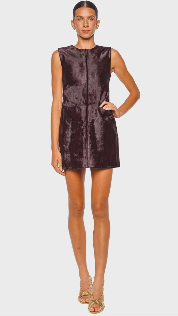 Sonoma Fig Sleeveless Leather Mini Dress