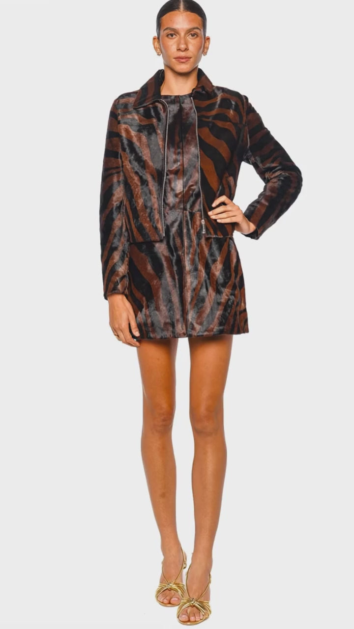 daria zebra jacket