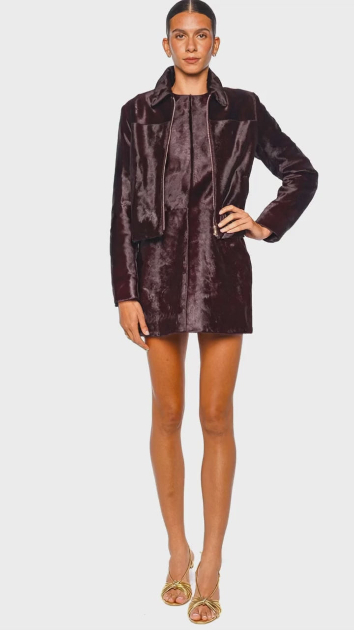 daria fig jacket

