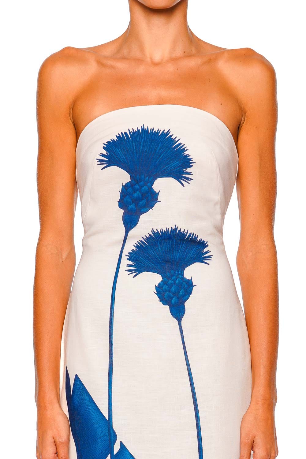 Andres Otalora Costera Blue Dandelion Strapless Maxi Dress